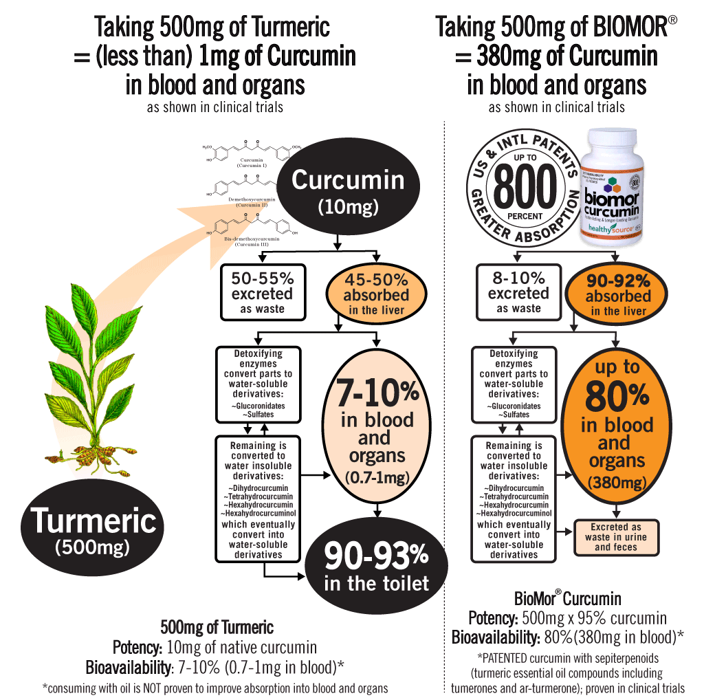 Human trials show other curcumin products are mostly excreted as waste. BIOMOR Curcumin has up to 800% better absorption into the blood and organs.