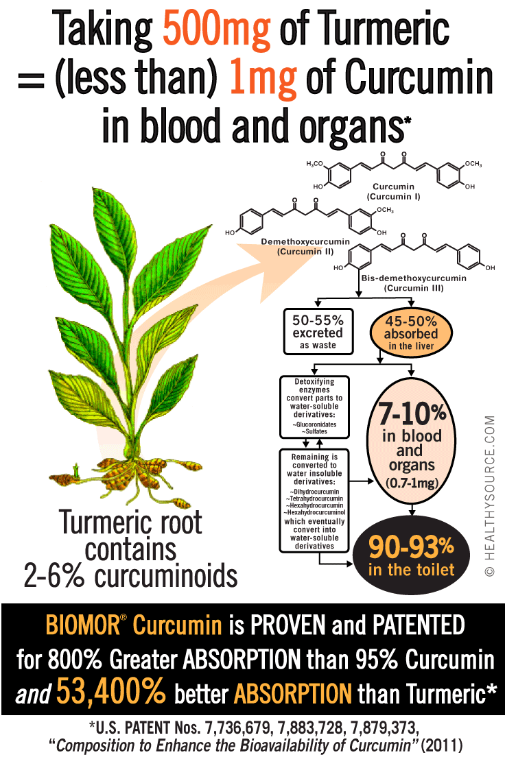 Human trials show other curcumin products are mostly excreted as waste. BIOMOR Curcumin has up to 800% better absorption into the blood and organs.